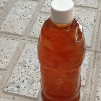 سرکه سیب وگردو|حراج|مشهد, فدک|دیوار