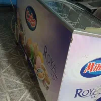 فریزر(اوگور)سالم