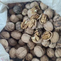 گردو امسال|خوردنی و آشامیدنی|سبزوار, غرب نیروگاه|دیوار