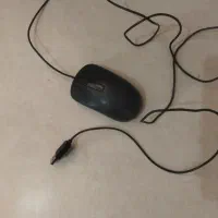 موس جنیوس