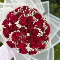 20 شاخه گل رز هلندی باقیمت عمده|گل و گیاه طبیعی|شیراز, بعثت|دیوار