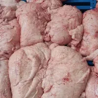 دمبه گوسفندی «تازه و گرم»