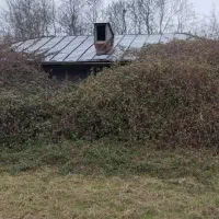 خانه وشالیزار ۴هکتاری