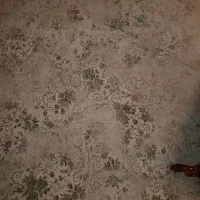 فرش ۱۲متری|فرش|تفت, |دیوار