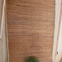 تیجیر