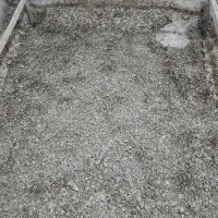 کود کبوتر خشک و تمیز