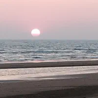 فروش زمین برنج کاری معاوضه با ماشین و طلا