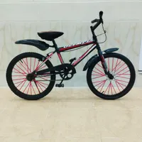 دوچرخه 20در حد