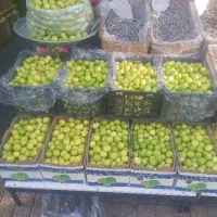بهترین کیفیت لیمو با شستشو و آبگیری رایگان|خوردنی و آشامیدنی|تهران, هفت حوض|دیوار