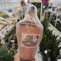 قلک سفال سفالی قولک دیزی خوری کوزه دیوارکوب خاک|گل و گیاه طبیعی|قم, نیروگاه|دیوار