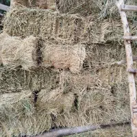 علف بسته بندی و علف دستی