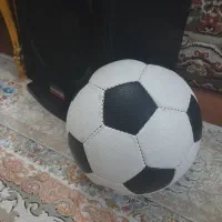 توپ چمن سالنی|ورزش‌های توپی|قم, شاه ابراهیم|دیوار