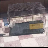 قفس پرنده باوسایل