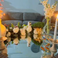 منشی دفتر بیمه ایران