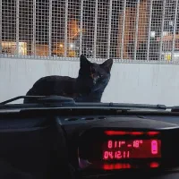 سورن پلاس  اسفند ۱۴۰۰