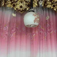 دوعدد لوستر|لوستر و چراغ آویز|شهریار, شهریار|دیوار