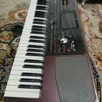 korg pa1000 در حد|پیانو، کیبورد، آکاردئون|بانه, |دیوار