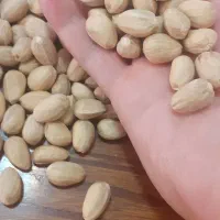 بسته دهن بست|خوردنی و آشامیدنی|مشهد, هنرور|دیوار