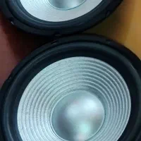 باند ووفر 10 اینچ / 12 اینچ