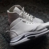 کفش tashion|کیف، کفش، کمربند|اصفهان, باغ فردوس|دیوار