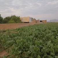 فروش زمین مسکونی|فروش زمین و ملک کلنگی|زاغه, |دیوار