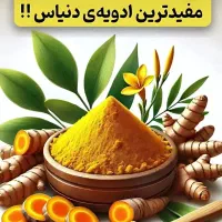 نعنا،شوید،شیره،ابغوره|خوردنی و آشامیدنی|اشتهارد, |دیوار