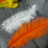 پر علامت|صنایع دستی و سایر لوازم تزئینی|تهران, هفده شهریور|دیوار