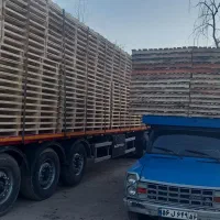 همکار خانم جهت انجام امور اداری ودفتری