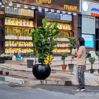 استخدام نیروی کار در فروشگاه گل و گیاه