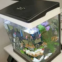 آکواریوم مدل دلسا