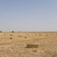 بسته کلش کاه