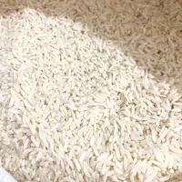 برنج هاشمی