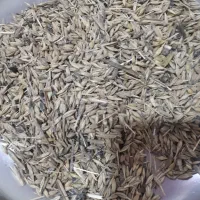 جو محلی