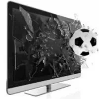 تلویزیون 55اینچ ایکس ویژن