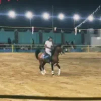 مادیان|اسب و تجهیزات اسبسواری|اصفهان, سروستان|دیوار