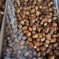 خرما|خوردنی و آشامیدنی|برازجان, |دیوار