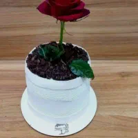 کیک روز مادر|خوردنی و آشامیدنی|سبزوار, طبرسی (جعفرآباد)|دیوار