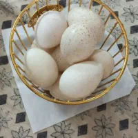 تخم بوقلمون تازه