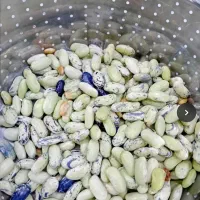 باقلا یا باقالی پاچ باقلا پاچ باقالی