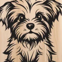 سگ گمشده شیتزو