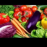 پخش میوه و صیفی جات