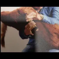 آموزش نی انبان|درام و پرکاشن|بندر گناوه, |دیوار