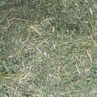 کاه لنجه