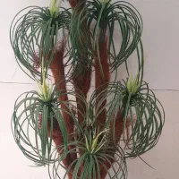 حراج لوازم خونگی