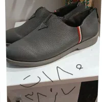 اسپورت ورق بزنید|کیف، کفش، کمربند|سبزوار, توحیدشهر|دیوار