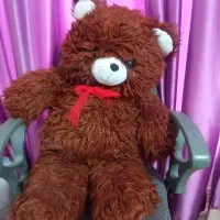 خرس ولنتاین