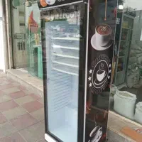 فریزر صندوقی و یخچال تک درب ایستاده|فروشگاه و مغازه|شیراز, شاهچراغ|دیوار