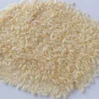 فروش ویژه برنج عنبربوخارجی