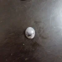 نگین انگشتر|جواهرات|بندرعباس, |دیوار