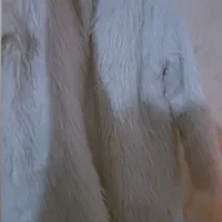 پالتوی خز و هودی